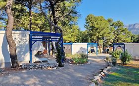 Aminess Planet Camping Port9 Holiday Homes